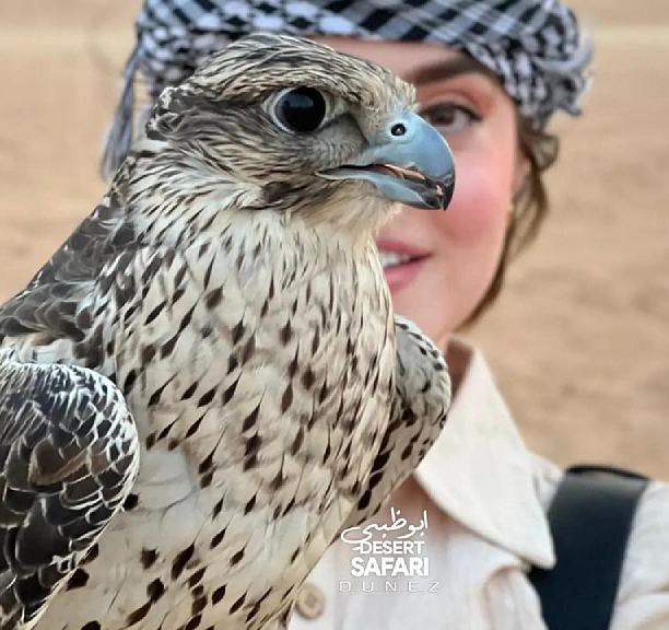 safari
